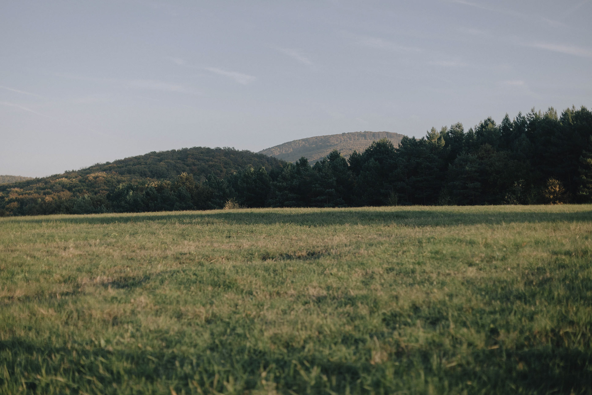 Borókásvölgy vendégház - A vendégház feletti dombon 
