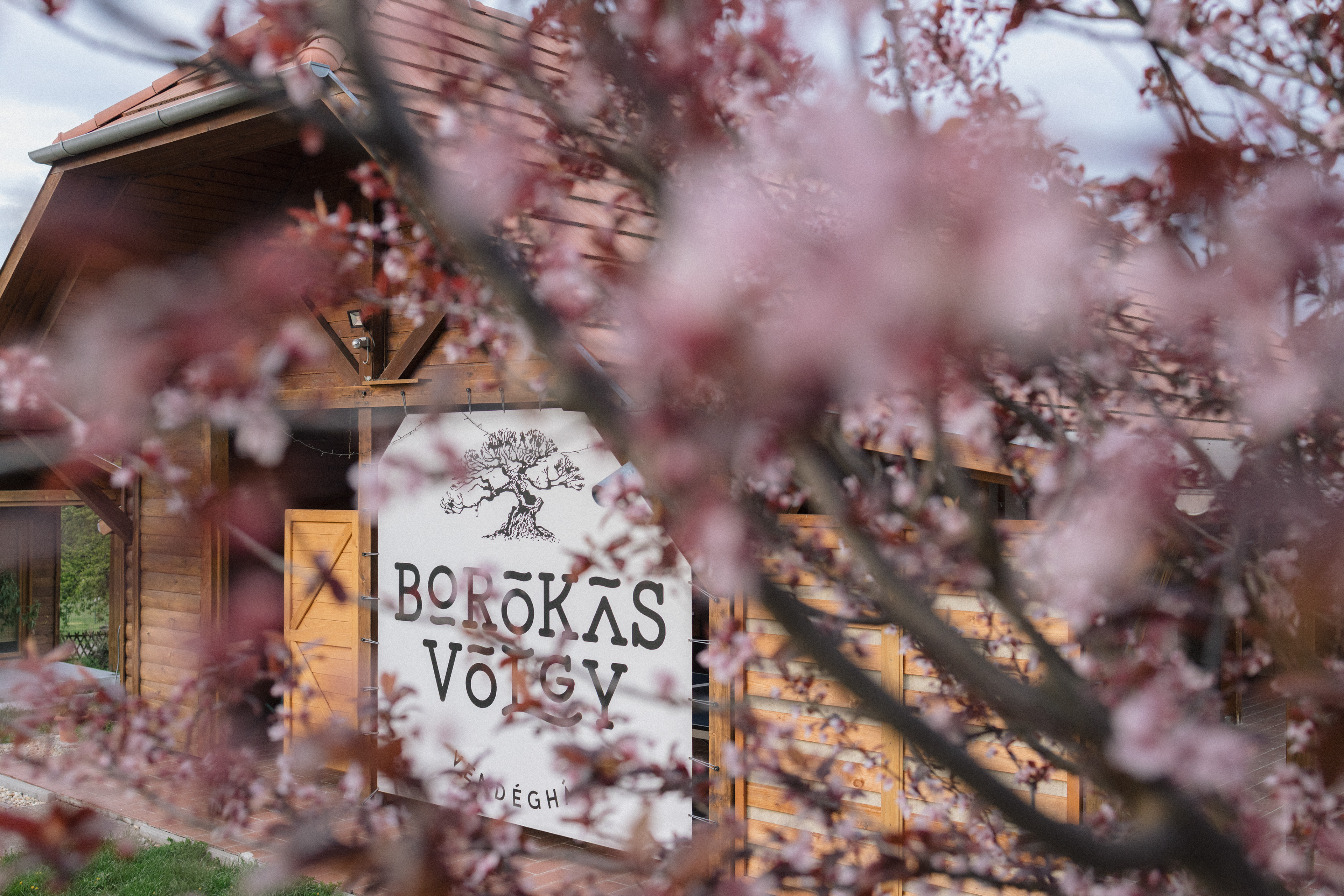 Borókásvölgy vendégház - tavasz