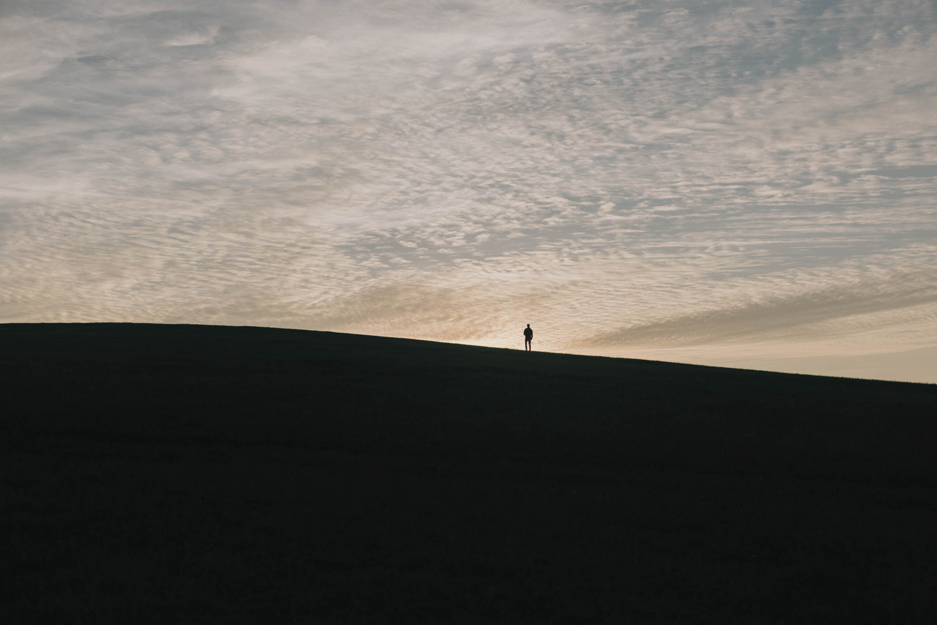 Borókásvölgy vendégház - A vendégház feletti dombon