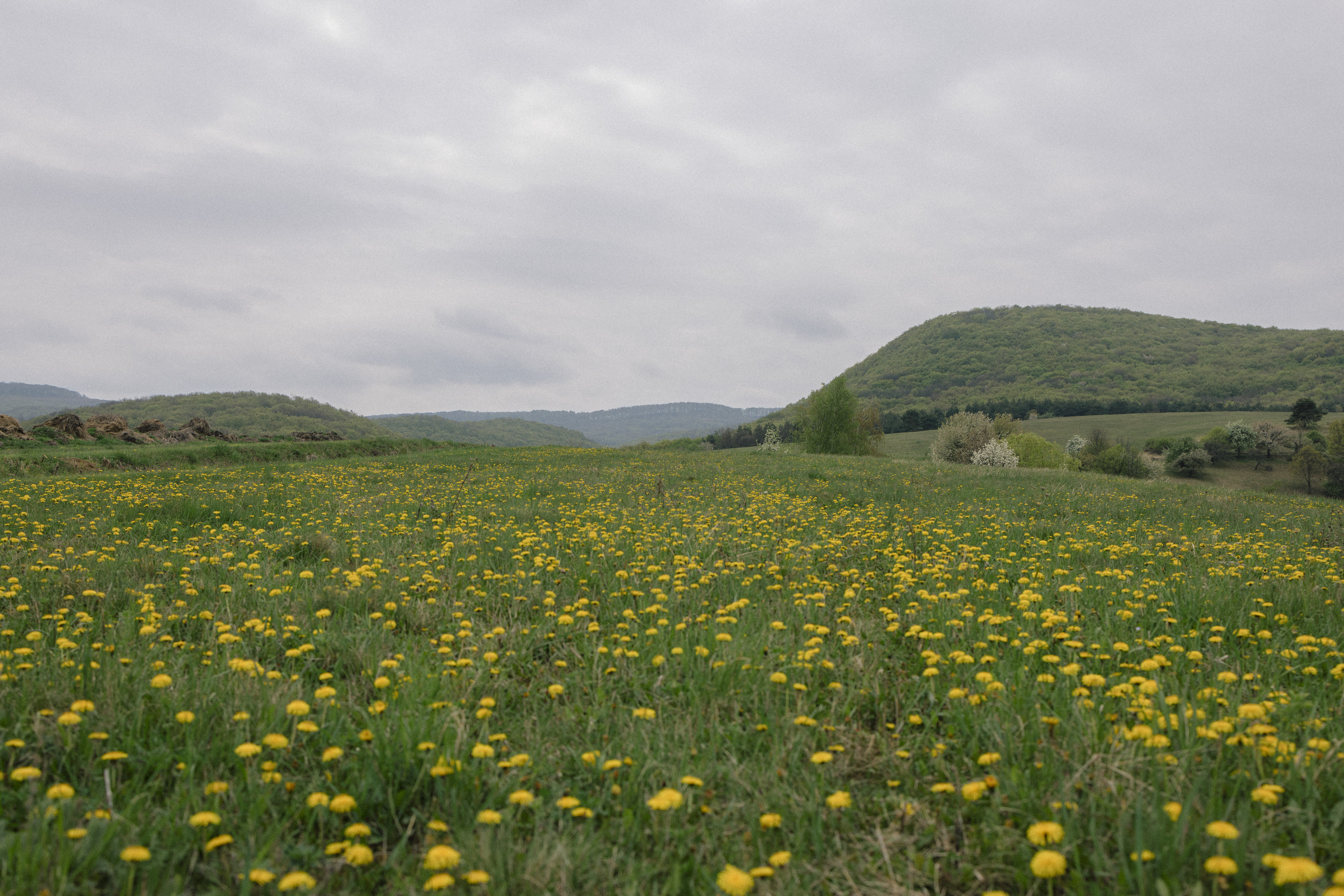 Borókásvölgy vendégház - tavasz 