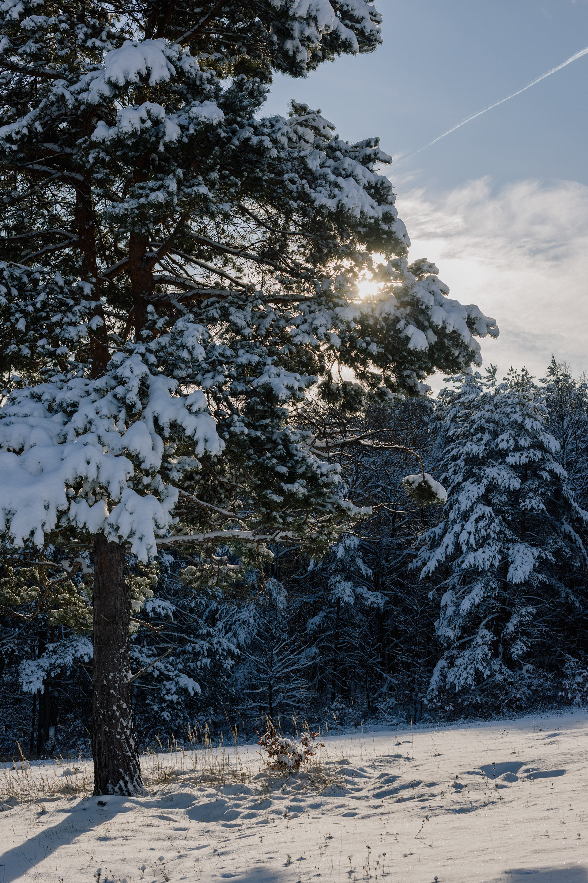 Borókásvölgy vendégház - téli hangulat