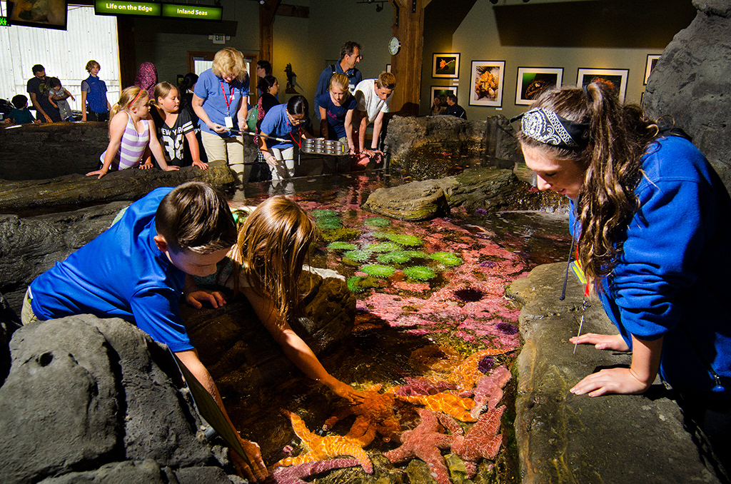 Seattle Aquarium, Ryan Hawk Photographer