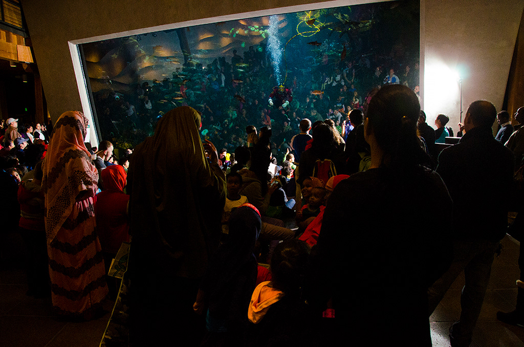 Seattle Aquarium, Ryan Hawk Photographer