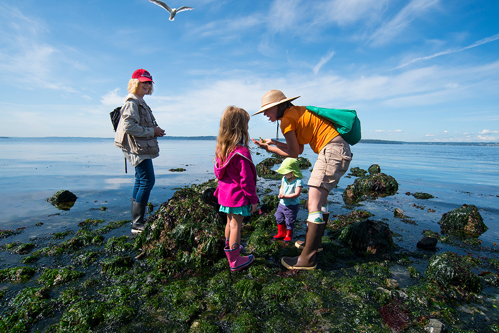 Seattle Aquarium, Ryan Hawk Photographer