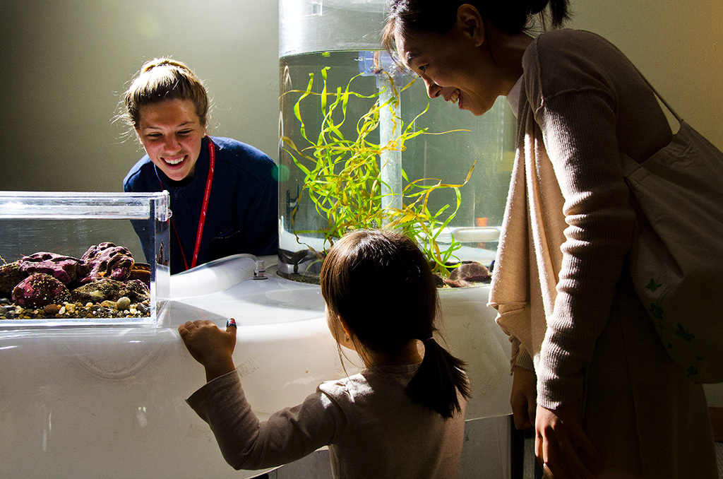 Seattle Aquarium, Ryan Hawk Photographer