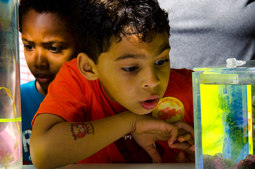 Seattle Aquarium, Ryan Hawk Photographer