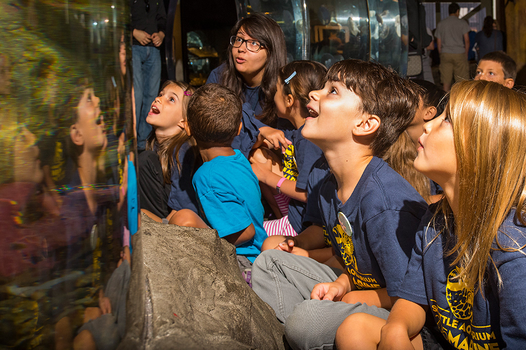 Seattle Aquarium, Ryan Hawk Photographer