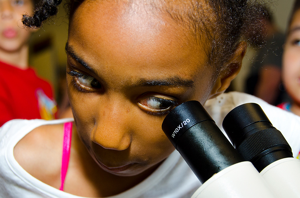 Seattle Aquarium, Ryan Hawk Photographer