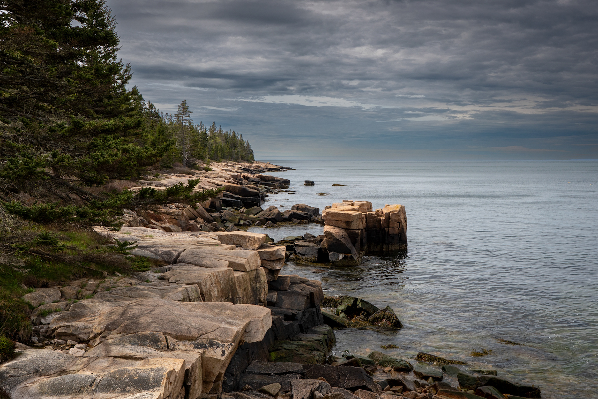 Acadia National Park 