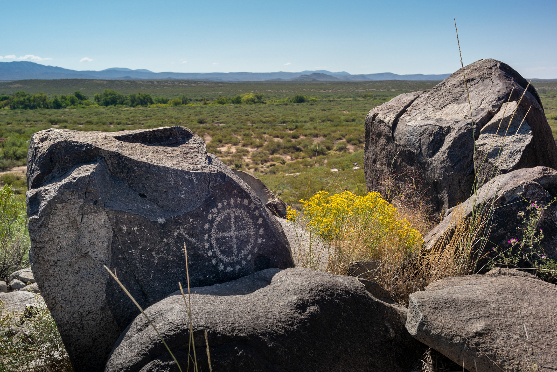 Three Rivers Petroglyph Site, NM