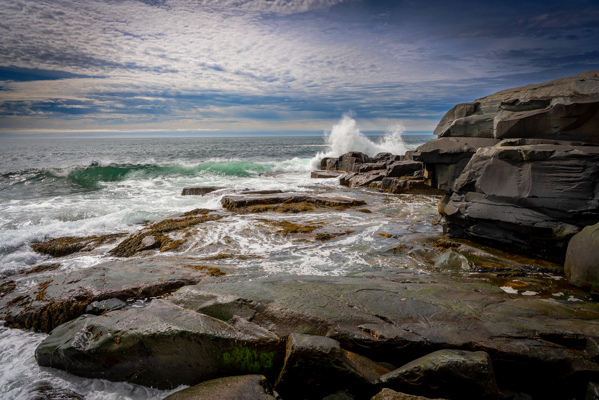 Acadia National Park 