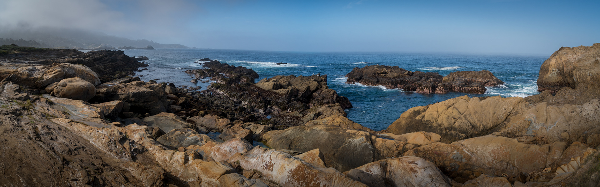 Point Lobos, California 