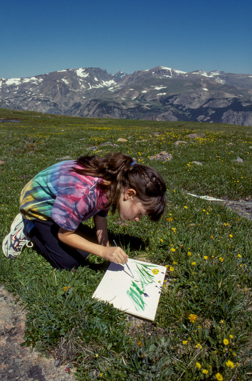 Beartooth Pass, Montana 