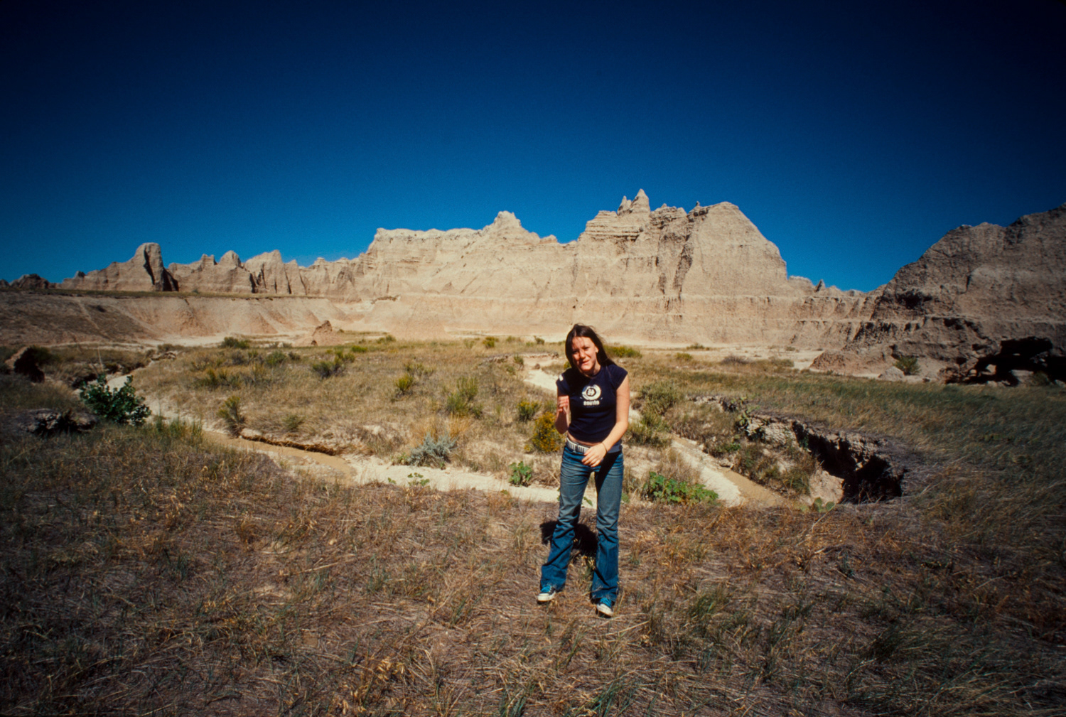 Badlands N.P.