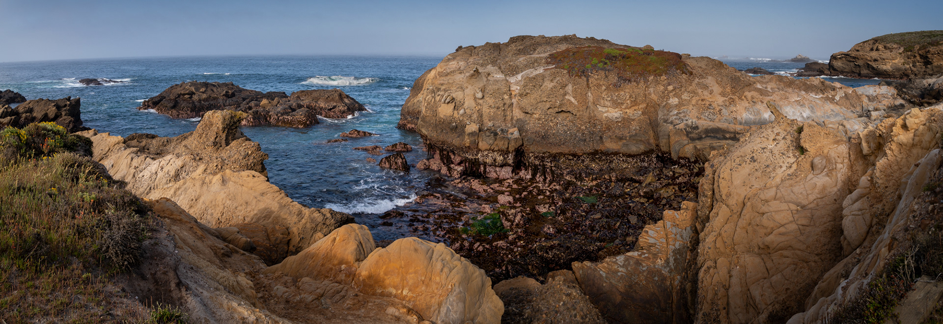 Point Lobos, California 