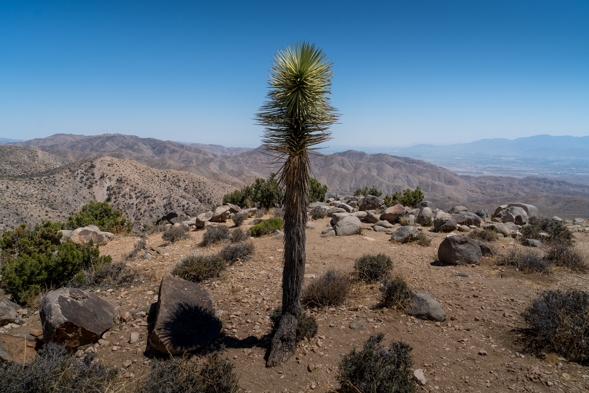 Joshua Tree National Park 