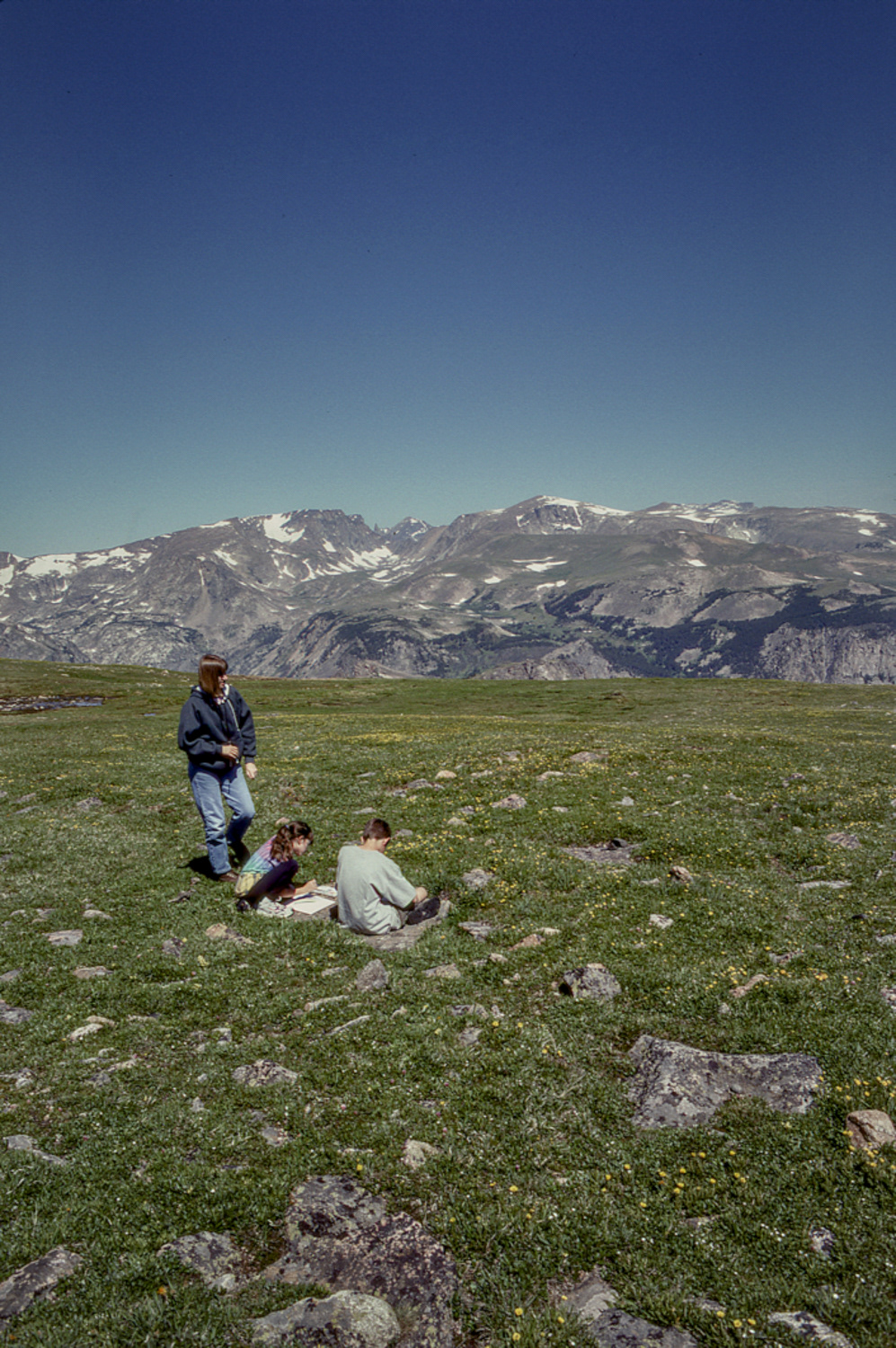 Beartooth Pass, Montana 