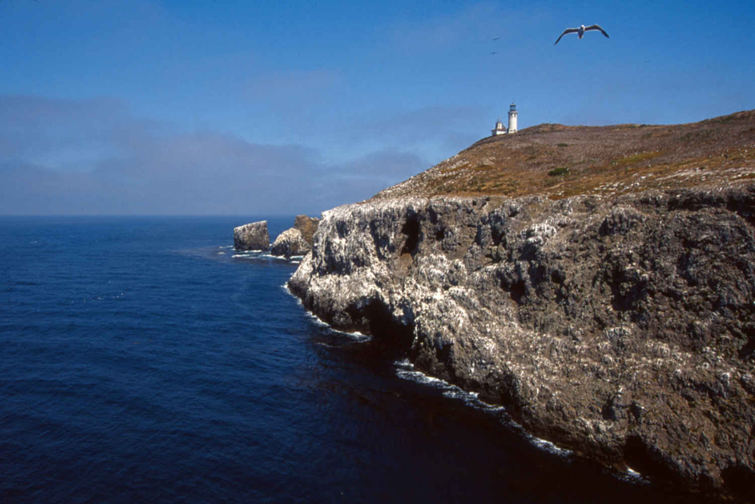 Channel Islands, CA