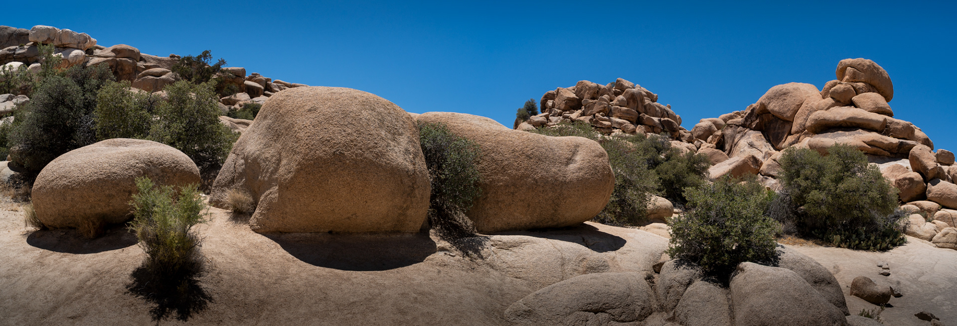 Joshua Tree National Park 