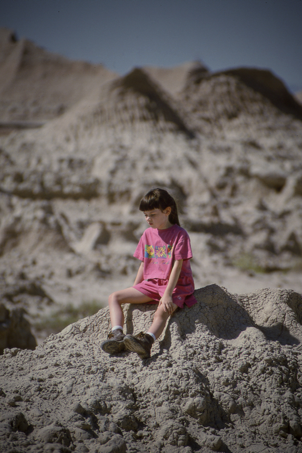 Badlands N.P.