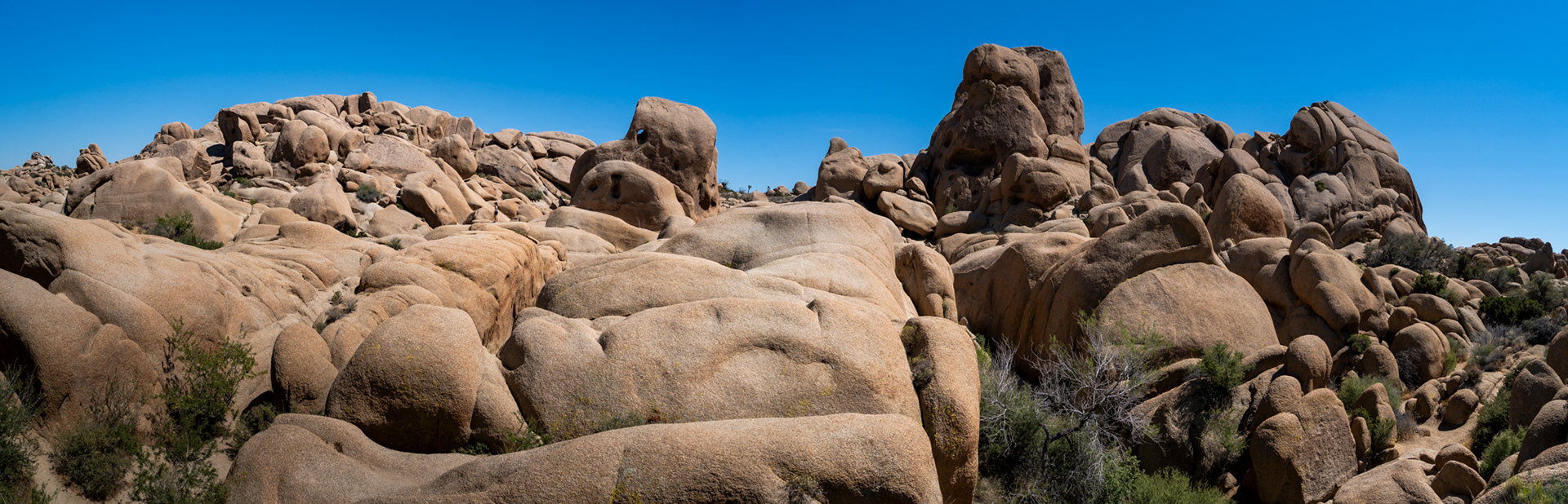 Joshua Tree National Park 
