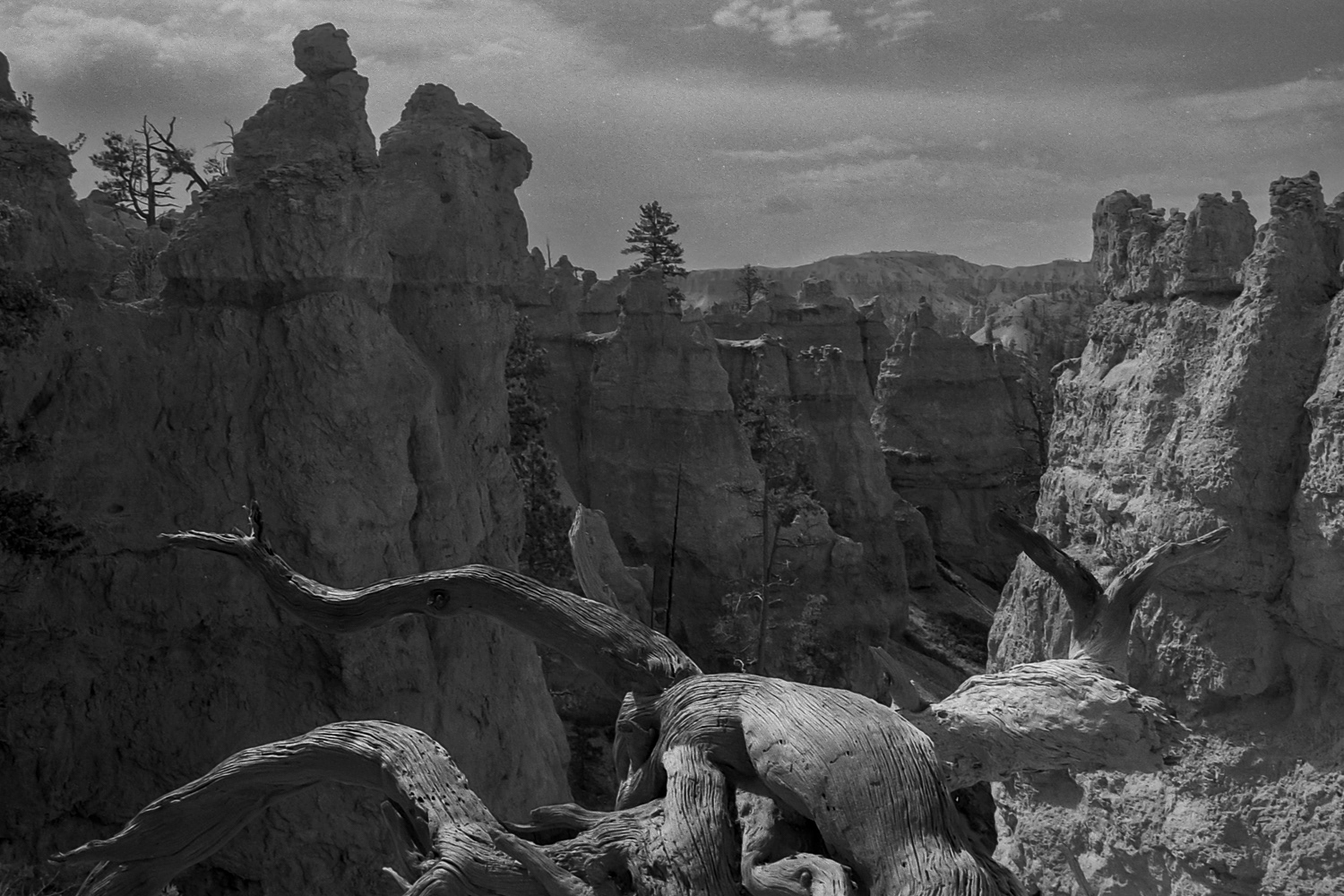 Bryce Canyon N.P.