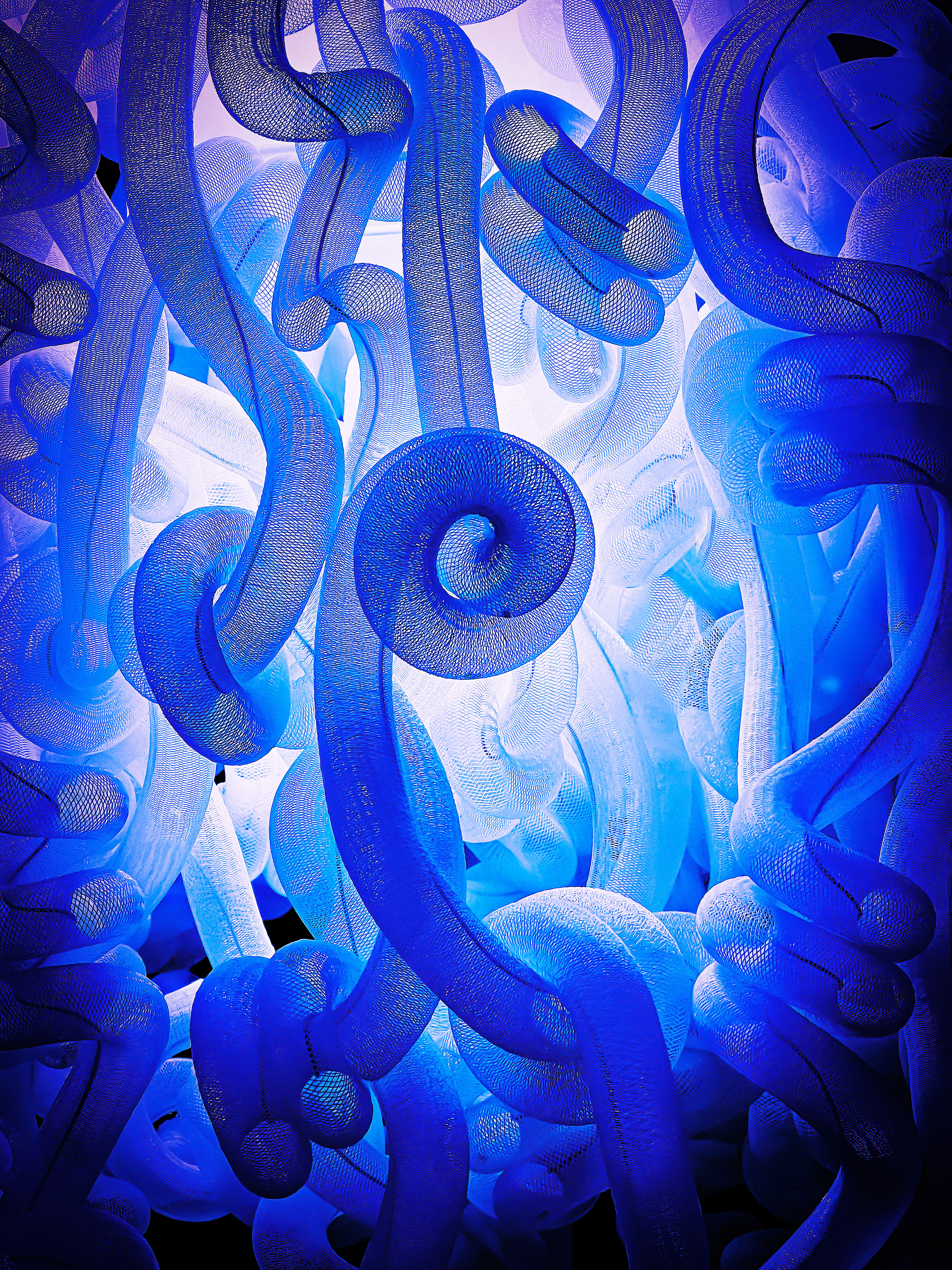 david kennedy, david kennedy photo, david kennedy photography, david kennedy fashion photography, david kennedy art photography