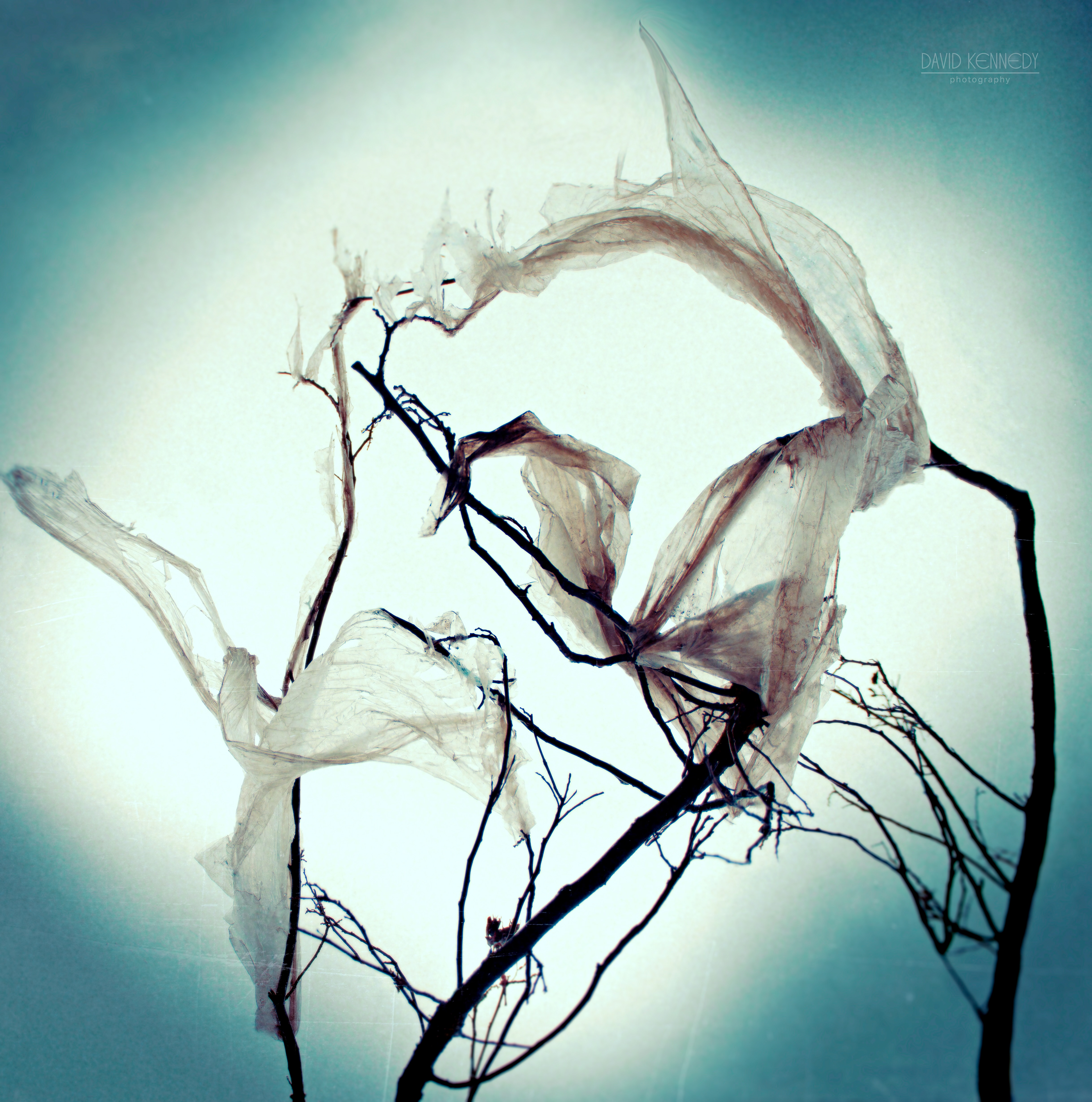 david kennedy, david kennedy photo, david kennedy photography, david kennedy fashion photography, david kennedy art photography