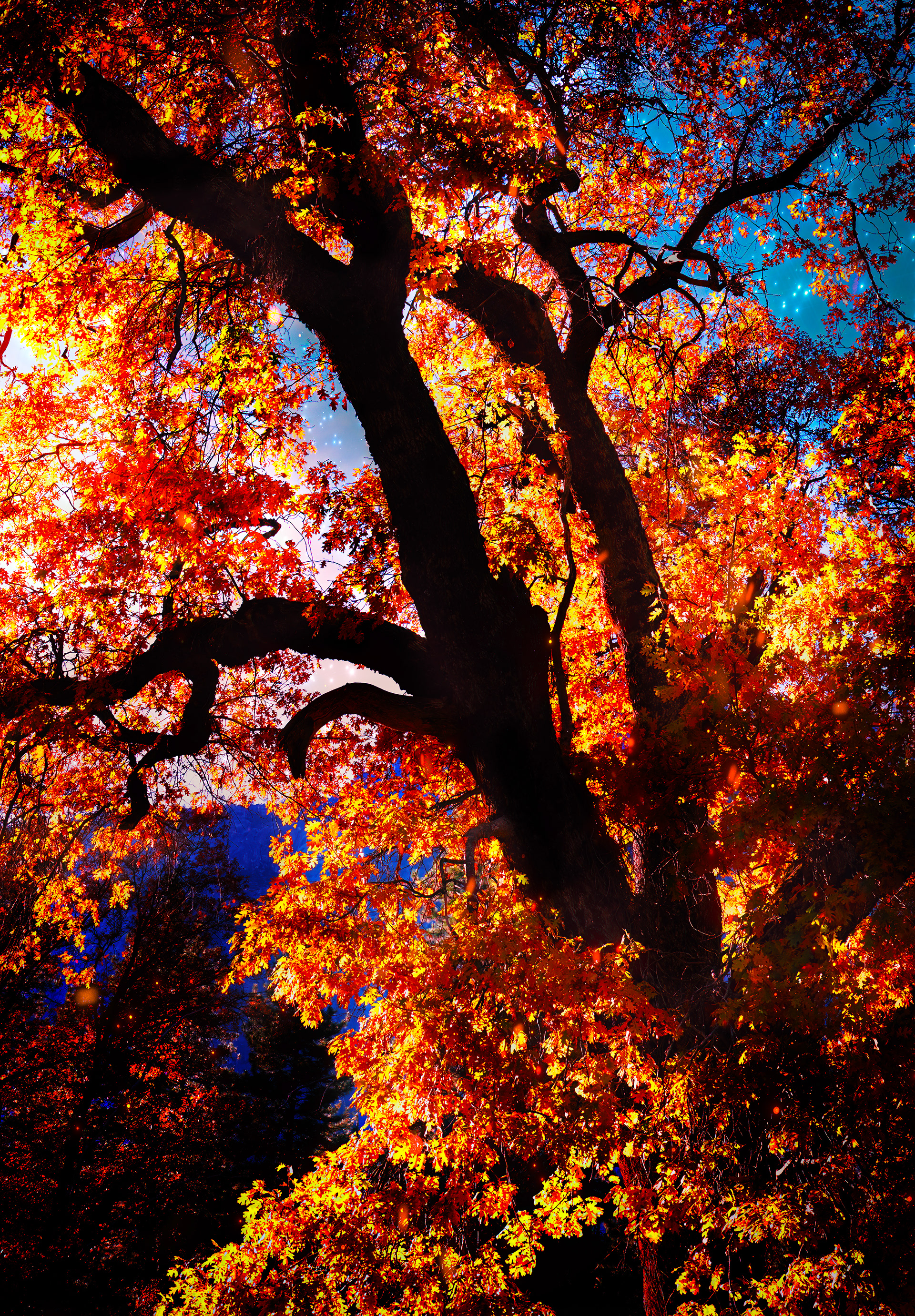 david kennedy, david kennedy photo, david kennedy photography, david kennedy fashion photography, david kennedy art photography