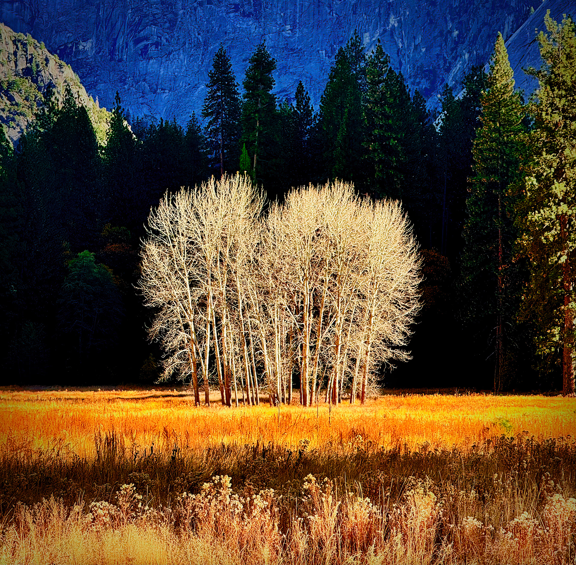 david kennedy, david kennedy photo, david kennedy photography, david kennedy fashion photography, david kennedy art photography