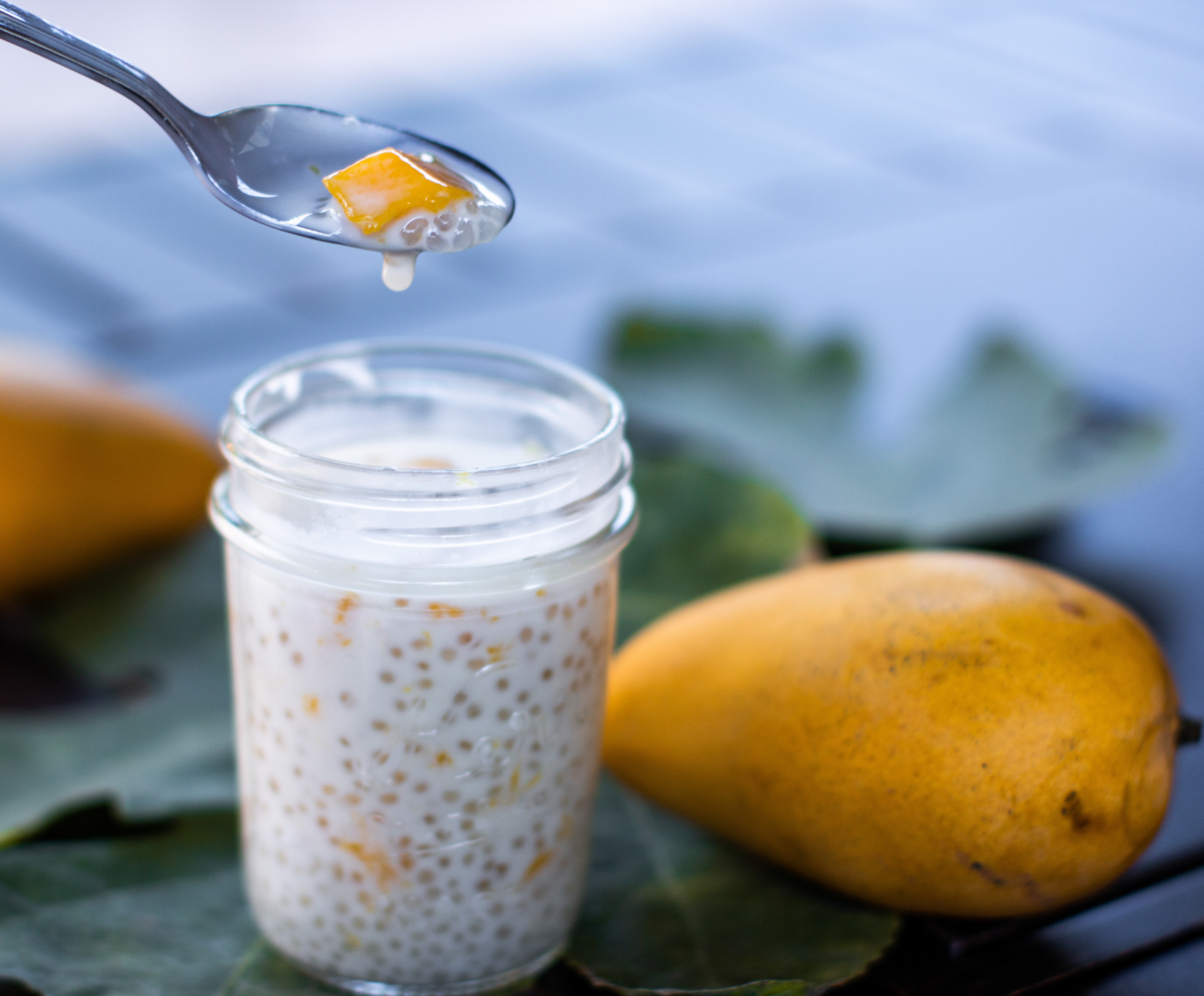 Mango Sago 2