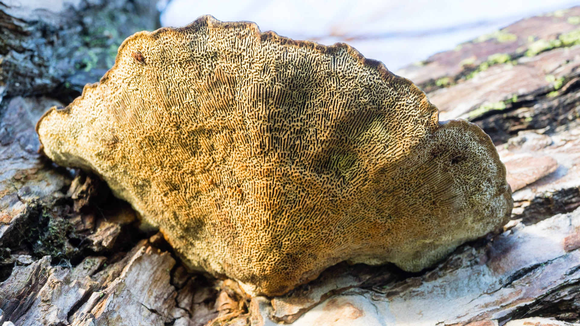 Out walking with my lovely wife Cheryl, making the most of my last day at home before a week away.