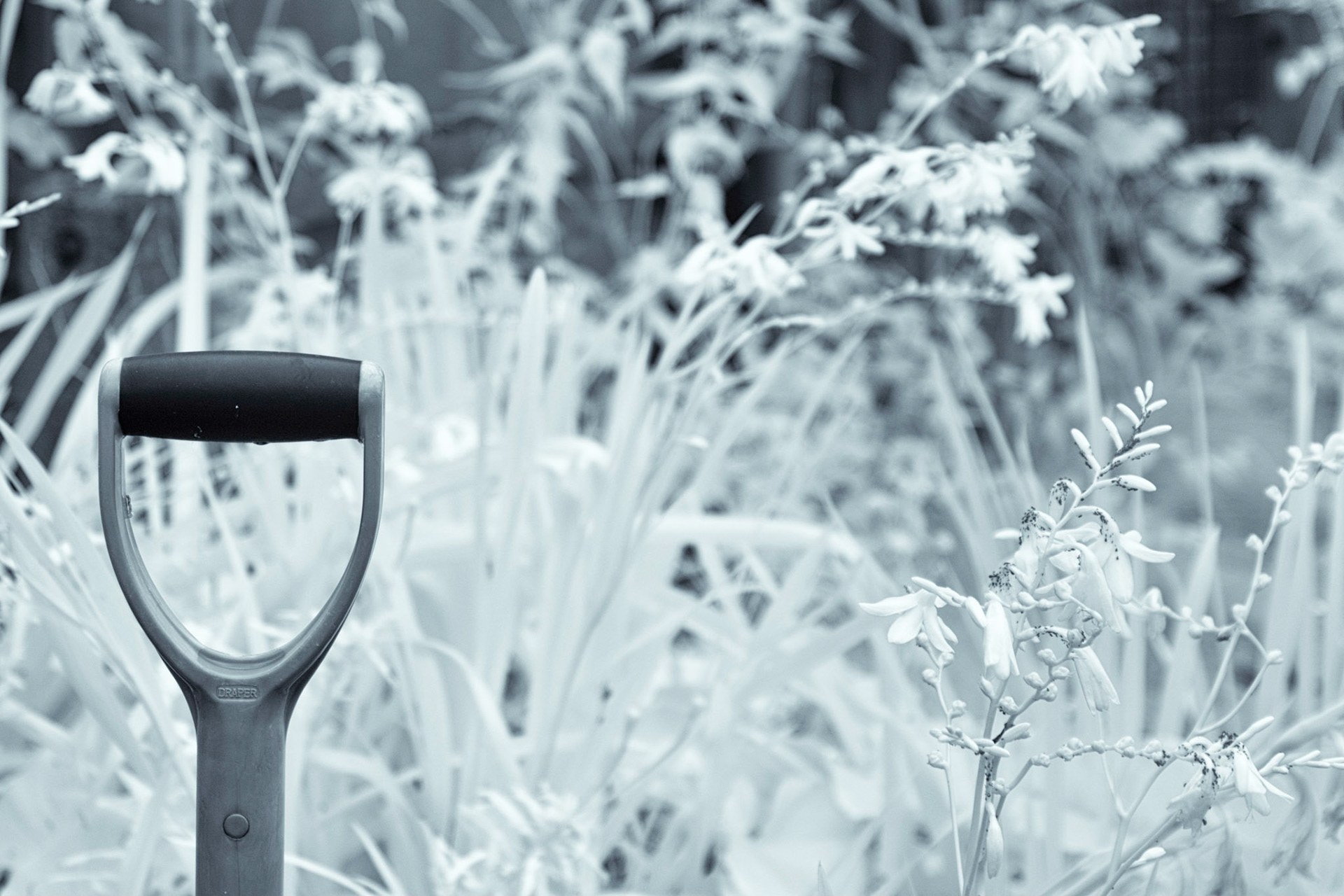 Playing with Infra Red in Harwich