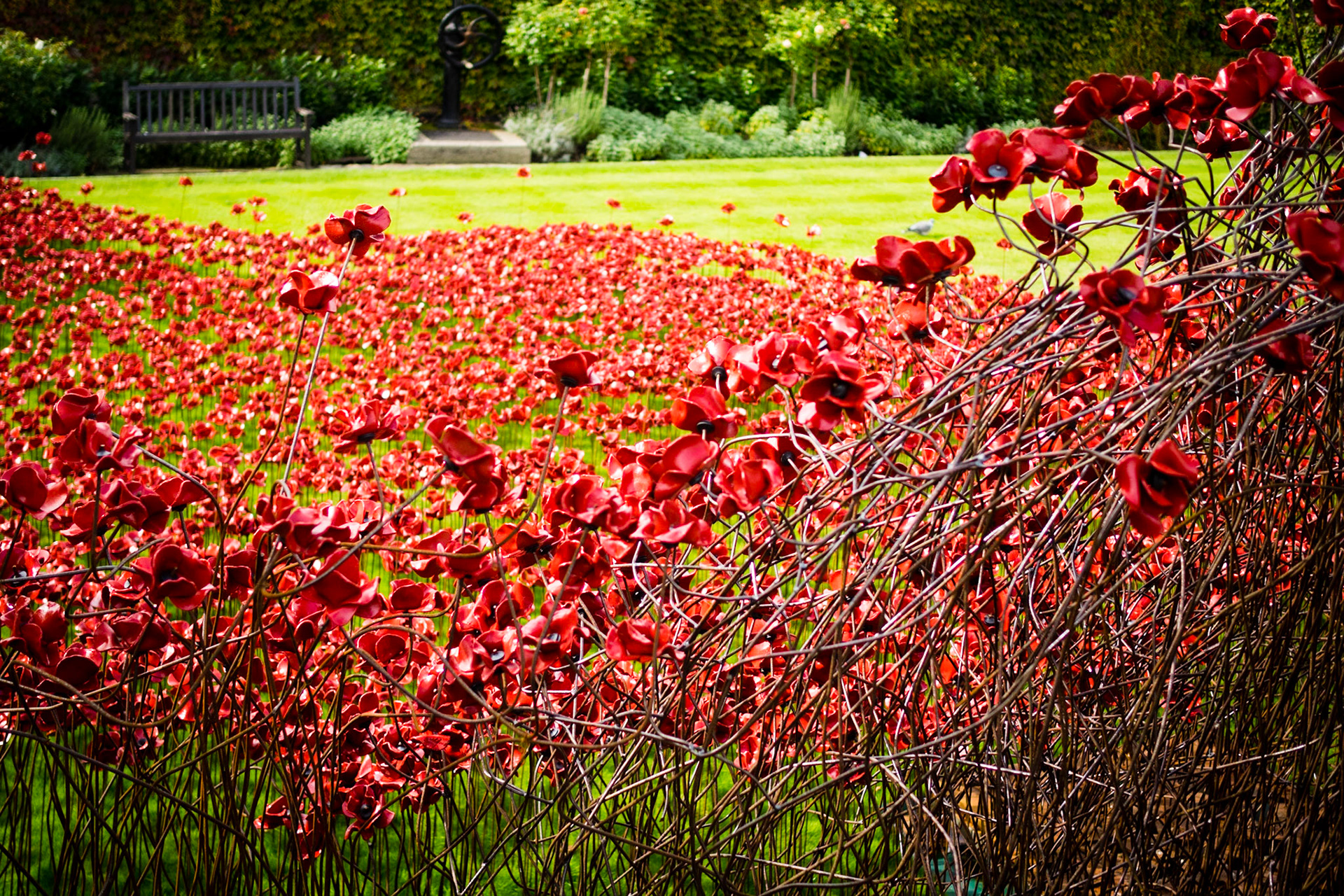Part of the sea of poppies at the Tower of London.By November 11th there will be 888,246 poppies, one poppy for every British fatality of the First World War.You can find out more at https://poppies.hrp.org.uk