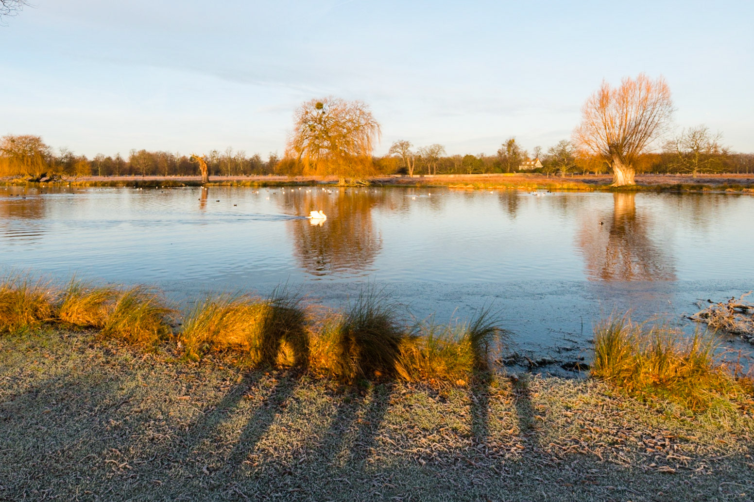 Chance Meetings: Morning Max!