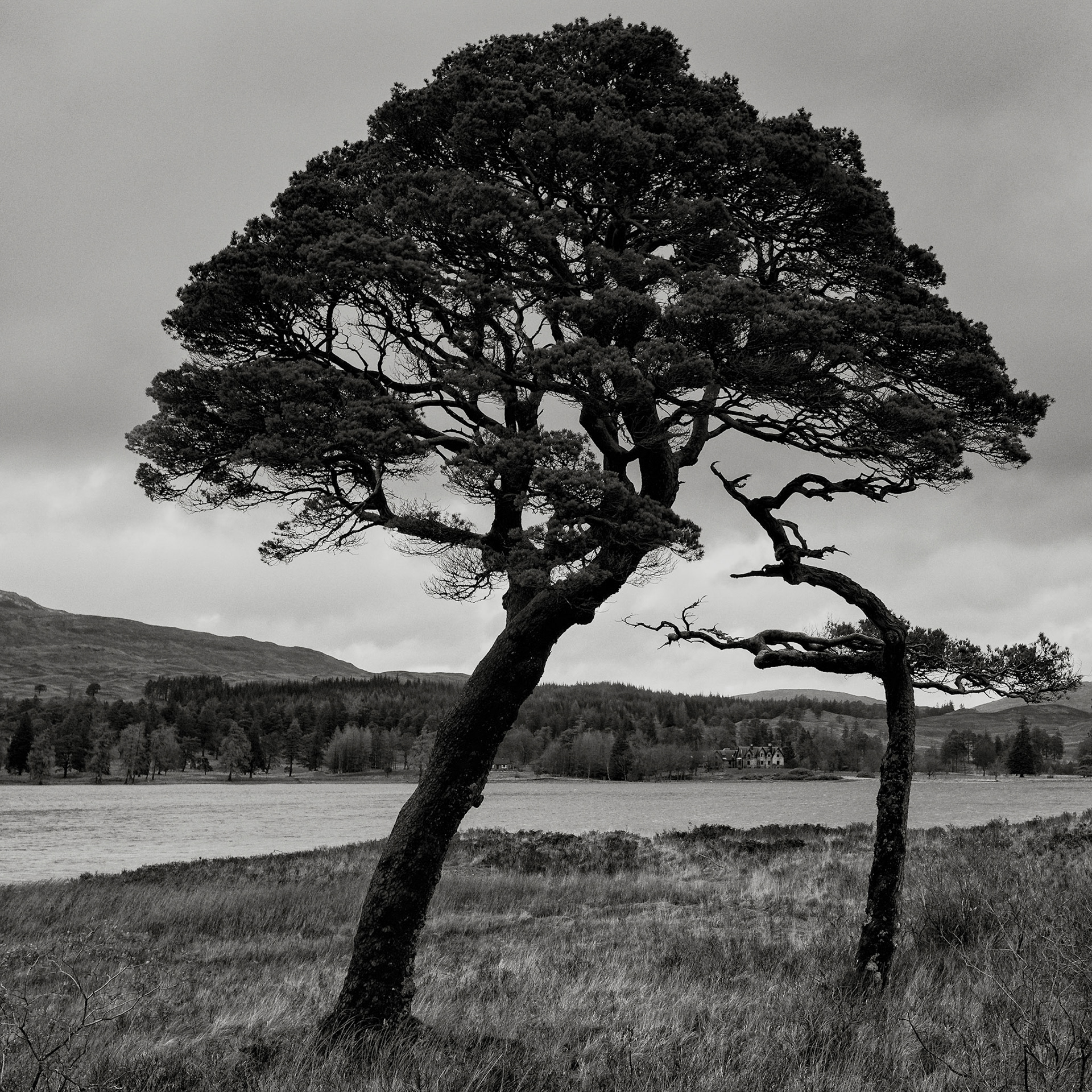 Rannoch Moor and Glencoe 2015