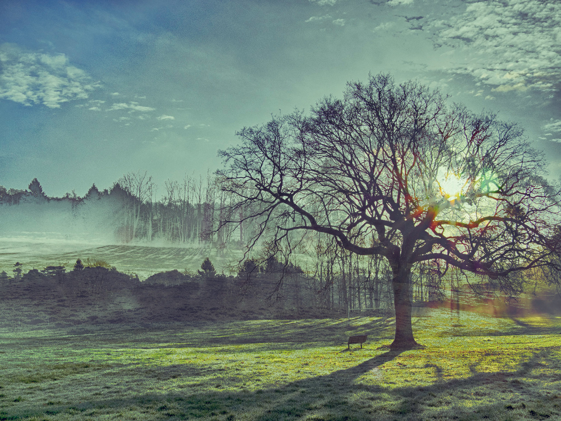 Today we were visiting Pagham, to see my mother in law.As we were driving, the mist started to lift, so of course we had to stop...