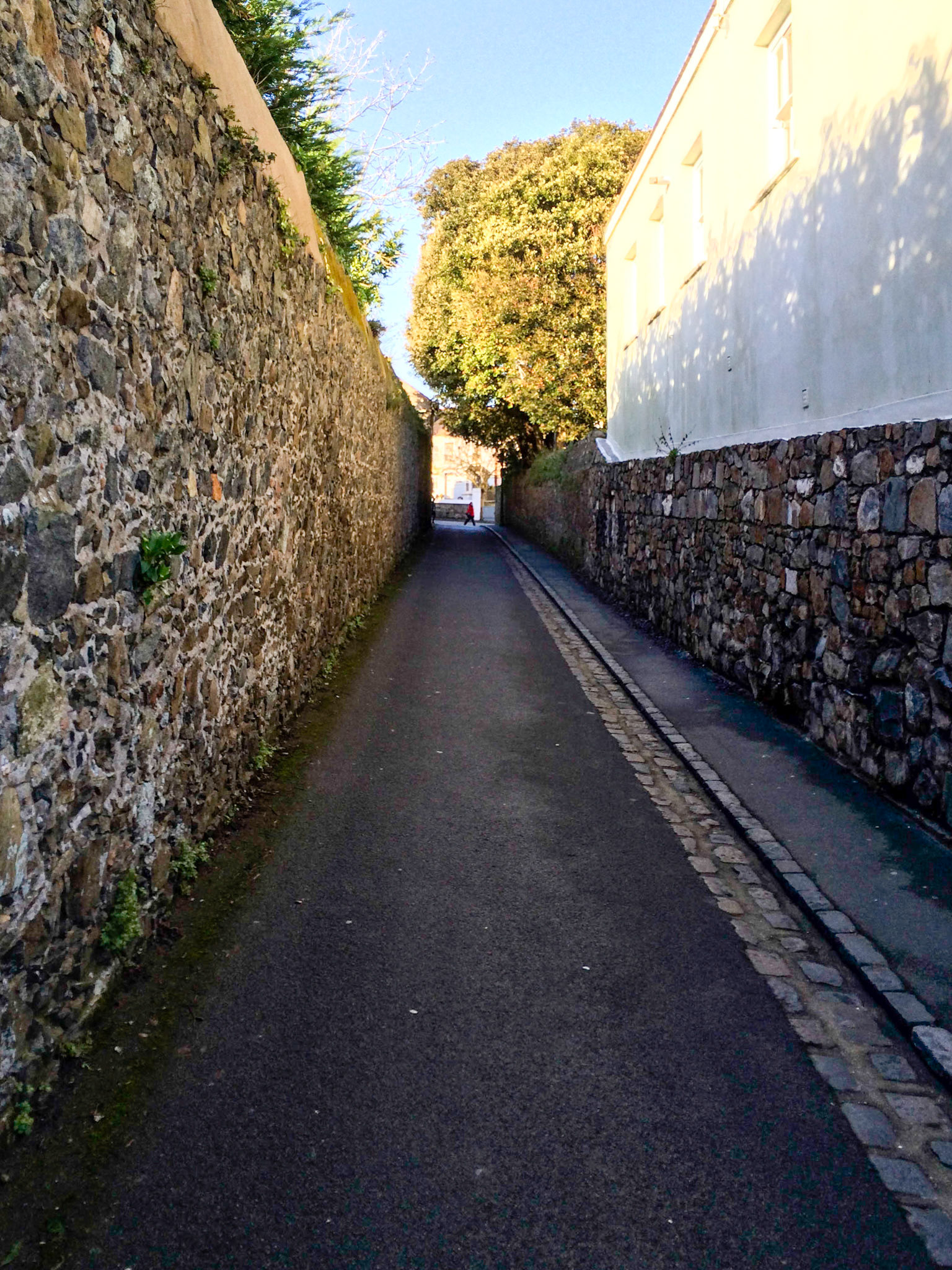 A new hill, a new view.