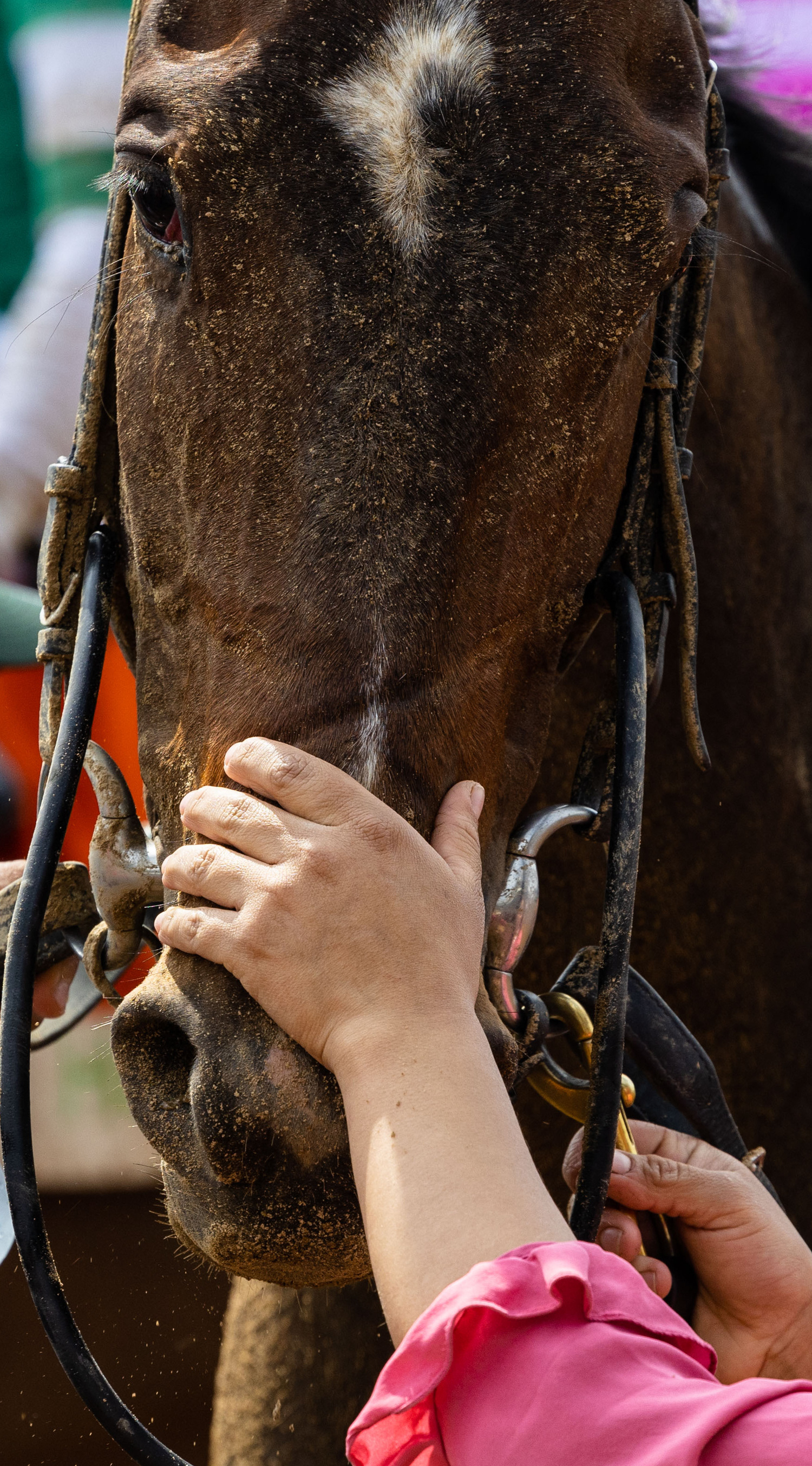 Horse caretakers comforts a race horse after a race on the day of the 151st running of the Kentucky Oaks horse at Churchill Downs in Louisville, Ky. on Friday, May 2, 2025.
