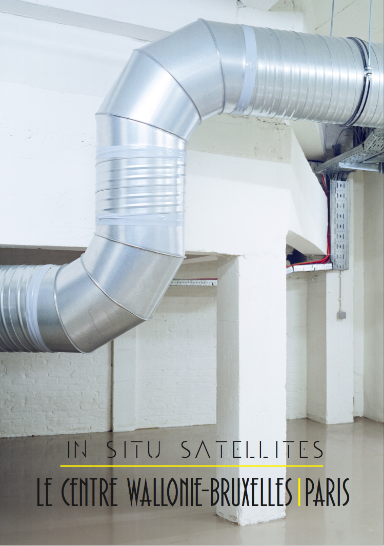 In Situ Satellites 