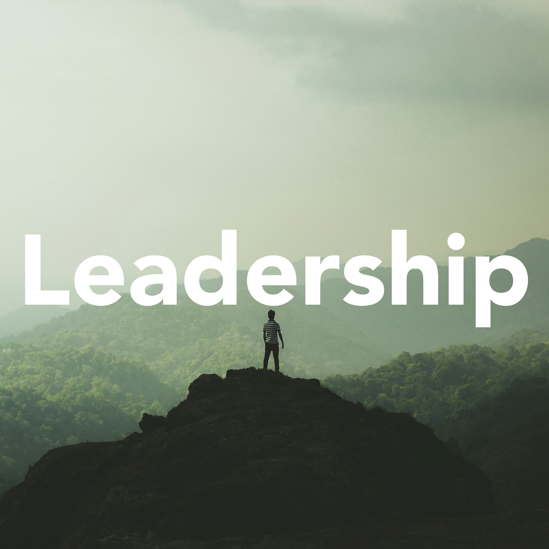 SCRUM Master, Project Manager, UI Lead; these were the roles I played in my group projects at bootcamp, and I loved each and all of them because I was able to find my voice but was still trying to work with the others in a harmonious, productive way. At Neiman Marcus, I’m the person my team turns to when they don’t understand the technology or need information on a shoe. In college, I took on many leadership roles in my sorority as well as the governing body for the sororities. Often time, I find myself volunteering to take on an effort to help achieve something because I know that my group will accomplish it.