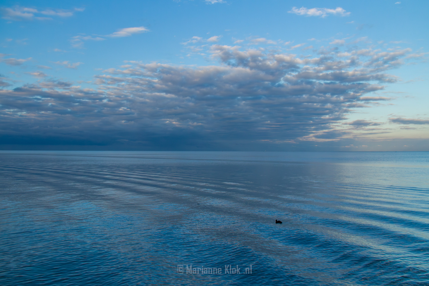 Markermeer
