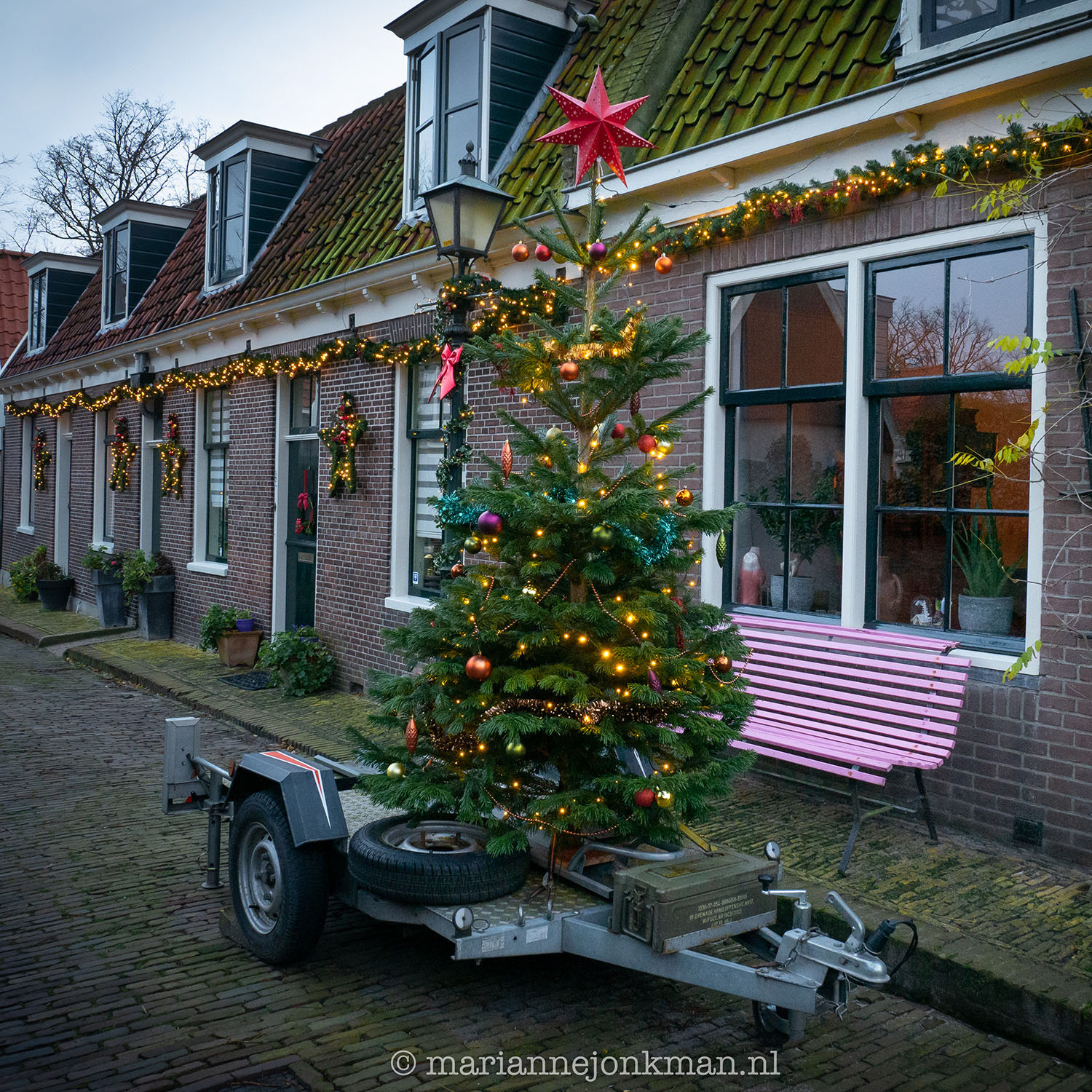 dag 7