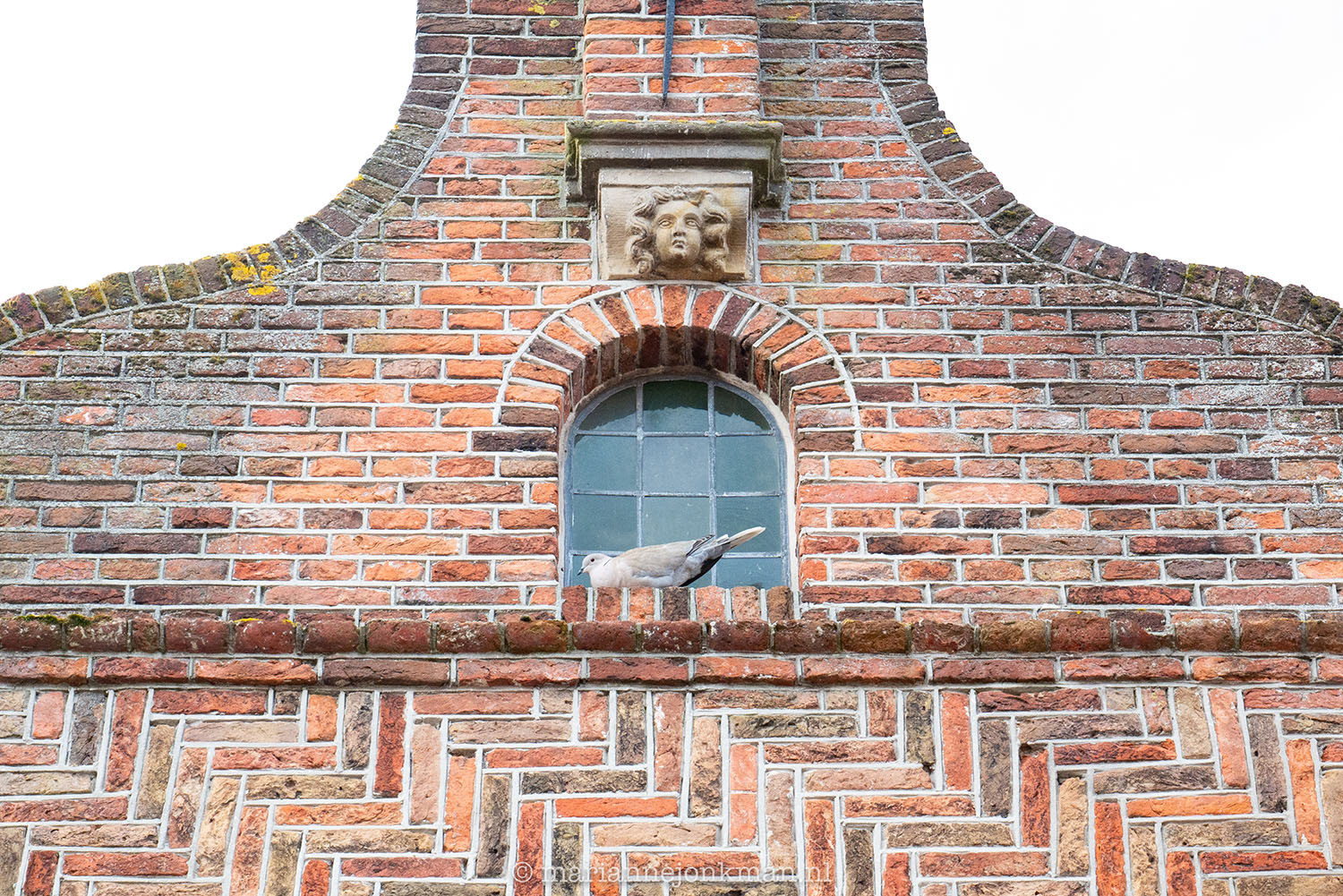 dag 104