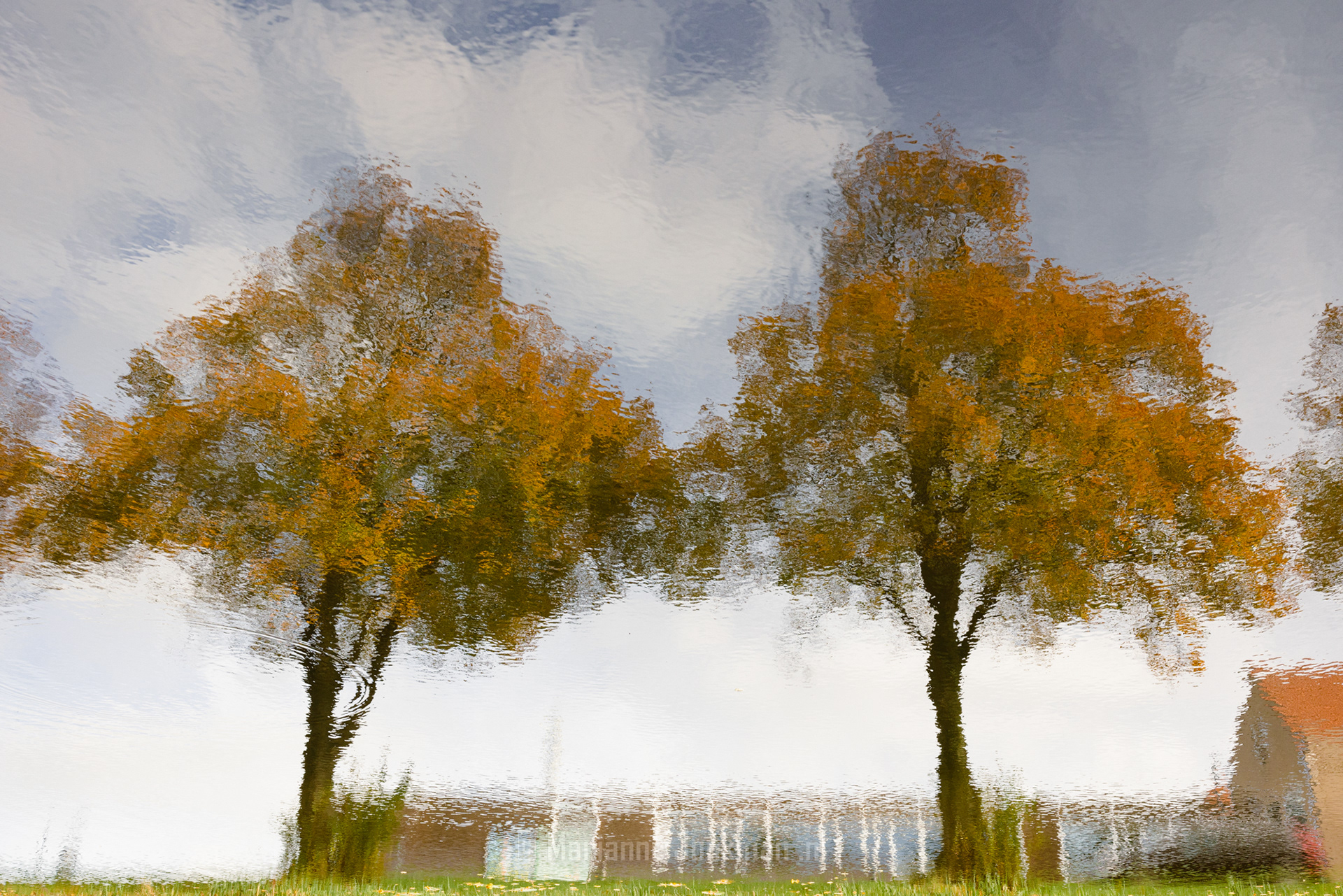 Edam weerspiegelt in het water