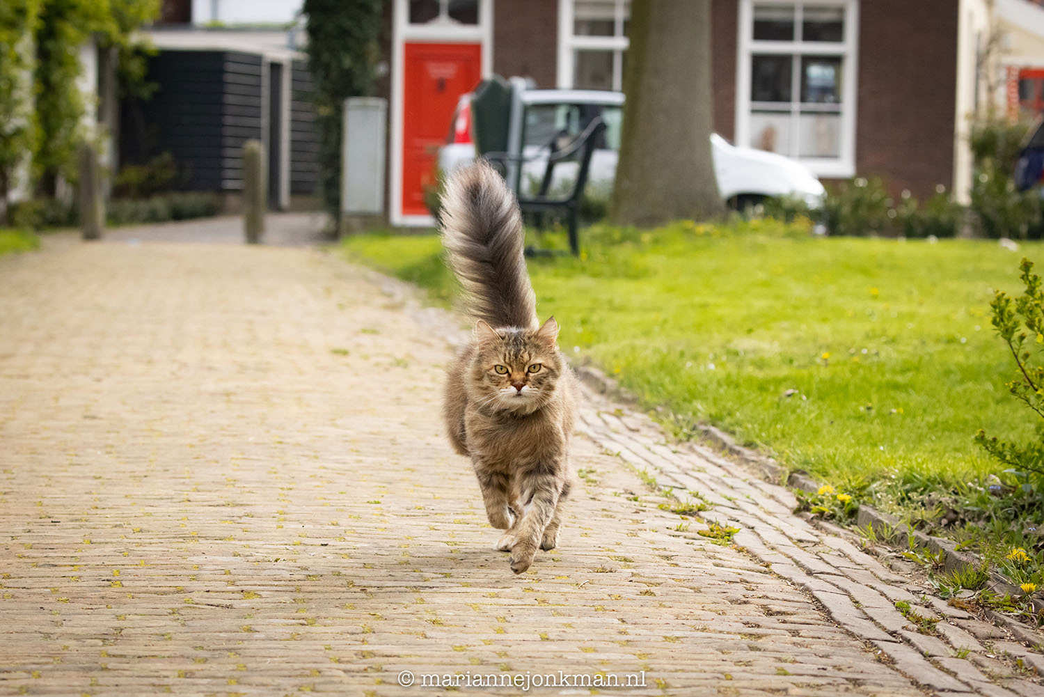 dag 140
