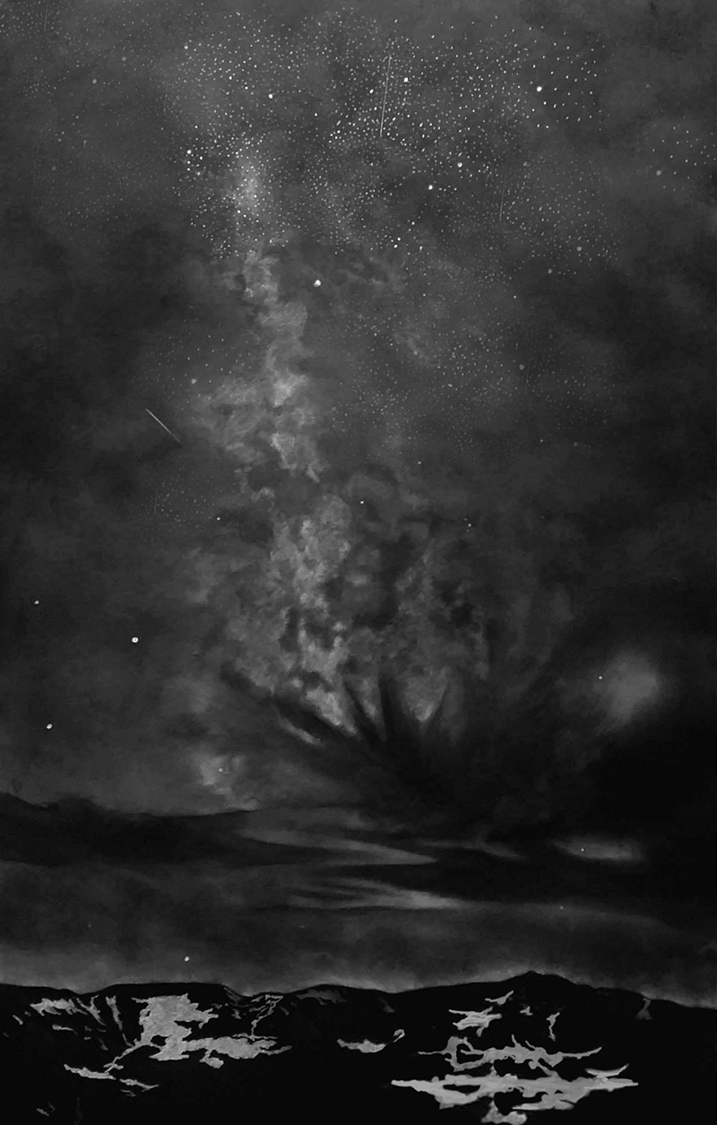 A Backlit Canopy With Holes Punched In It | 23" x 36" | Charcoal on Strathmore paper