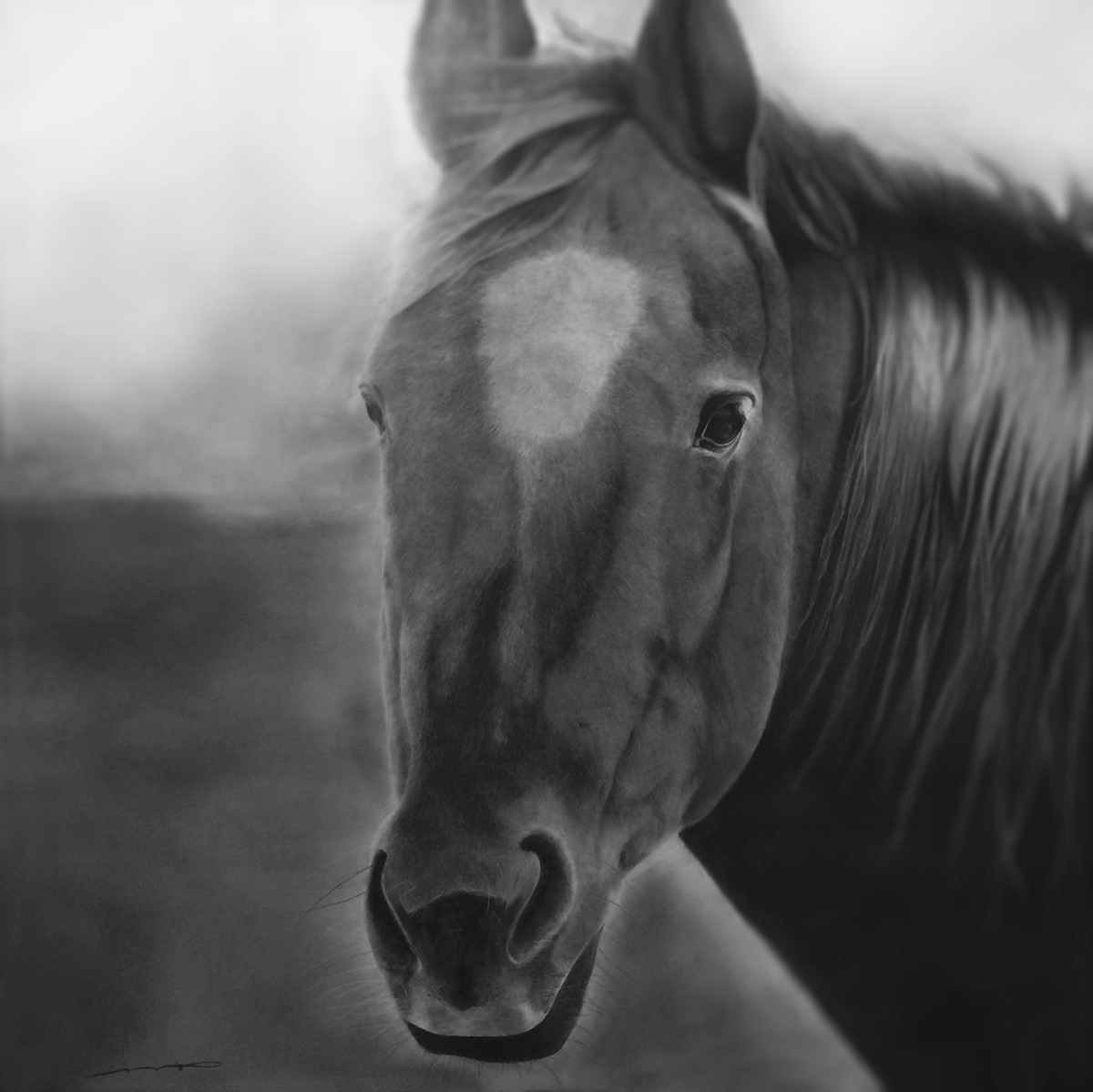 Free | 42" x 48" | Charcoal on Strathmore Toned Paper