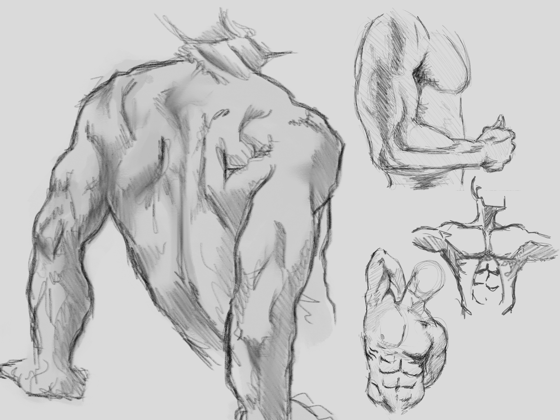 Study in pencil (digital)