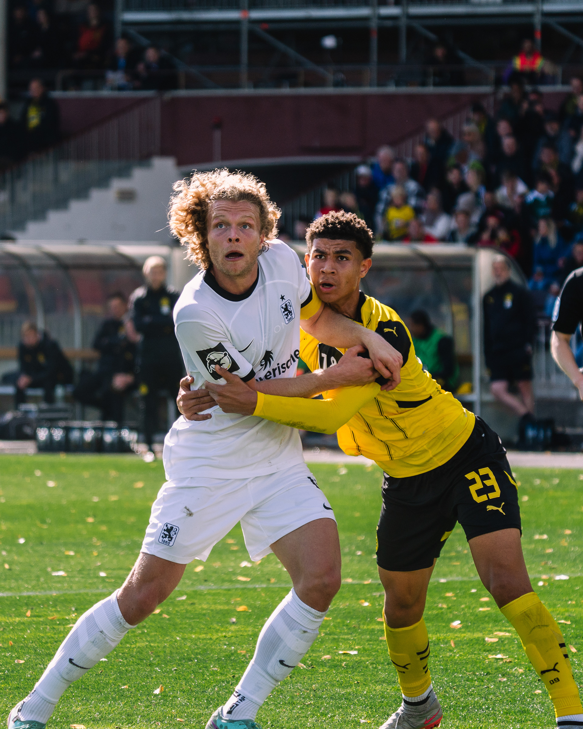 Borussia Dortmund II vs. 1860 München